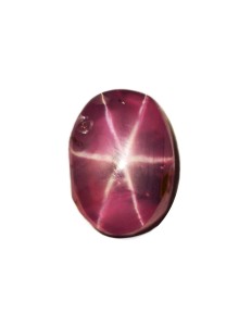 STAR SAPPHIRE FINE STAR 1.36 Cts 19735  - Gorgeous 6 Ray Star