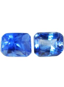 BLUE SAPPHIRE PAIR 0.61 Cts 19879 - Gorgeous Pair for Earrings
