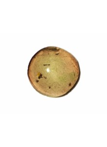 ANDALUSITE CATS EYE RED GREEN 1.13 Cts NATURAL SRI LANKA LOOSE GEMSTONE - 20799
