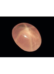 Pink Star Quartz 6 Ray 1.91 Cts Natural Sri Lanka Loose Gemstone 21007