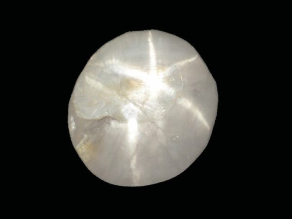 STAR SAPPHIRE DOUBLE STAR 2.58 Cts NATURAL SRI LANKA LOOSE GEMSTONE - 20742 - Image 3