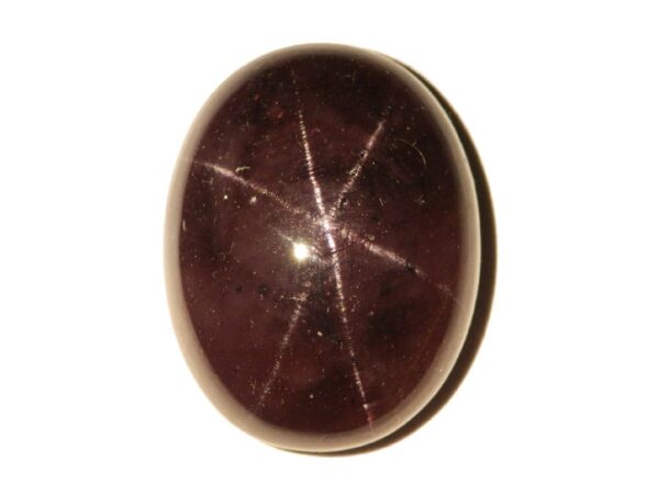 STAR GARNET WITH MULTIPLE STARS 30.80 Cts - 20.5 x 15.8 CEYLON NATURAL GEMSTONE