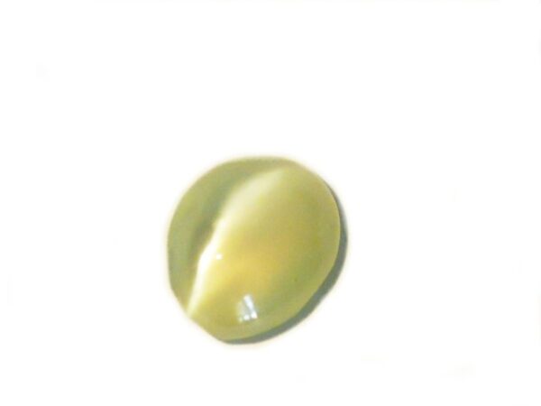 CHRYSOBERYL CATS EYE 0.83 CTS - SRI LANKA NATURAL GEMSTONE - Image 4