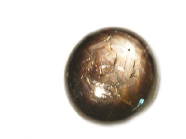 STAR SAPPHIRE 12RAY 8.04 CTS 15944 SRI LANKA NATURAL GEM - Clearance Sale - Image 5