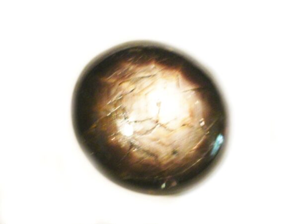 STAR SAPPHIRE 12RAY 8.04 CTS 15944 SRI LANKA NATURAL GEM - Clearance Sale - Image 2