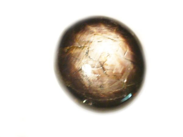 STAR SAPPHIRE 12RAY 8.04 CTS 15944 SRI LANKA NATURAL GEM - Clearance Sale - Image 4