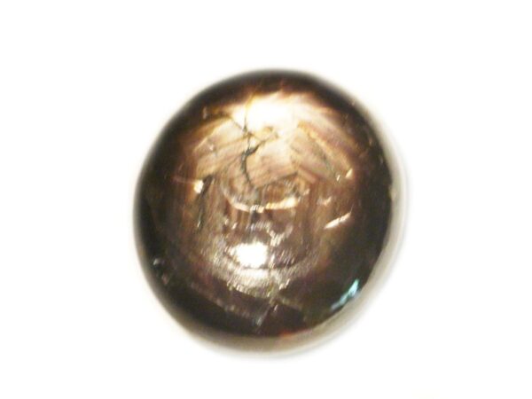 STAR SAPPHIRE 12RAY 8.04 CTS 15944 SRI LANKA NATURAL GEM - Clearance Sale