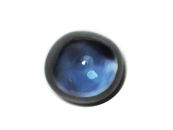 BLUE SAPPHIRE CABOCHON 0.56 Cts NATURAL SRI LANKA LOOSE GEMSTONE Clearance Sale